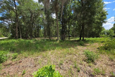 Land in Ocala, Florida № 2166590 - photo 3