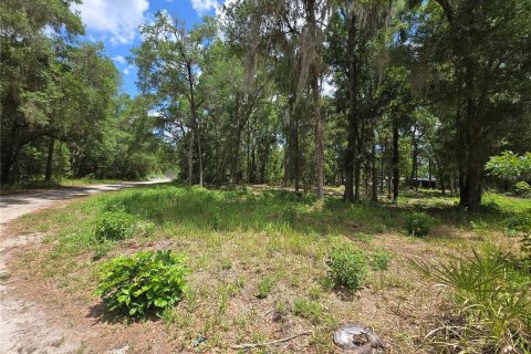 Land in Ocala, Florida № 2166590