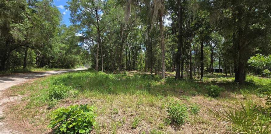 Land in Ocala, Florida № 2166590