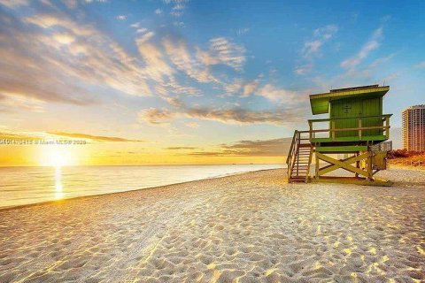 Appartement à louer à Miami Beach, Floride: 46.45 m2 № 1860042 - photo 13