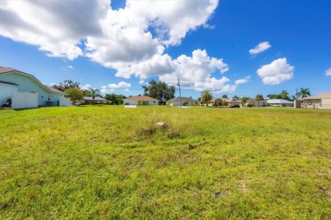 Land in Rotonda, Florida № 1406682 - photo 29