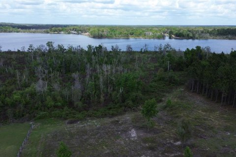 Terrain à vendre à Ocklawaha, Floride № 2206567 - photo 6