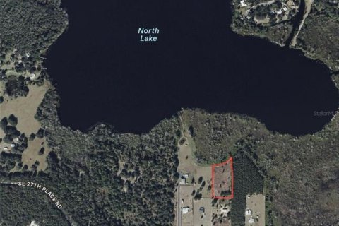 Land in Ocklawaha, Florida № 2206567