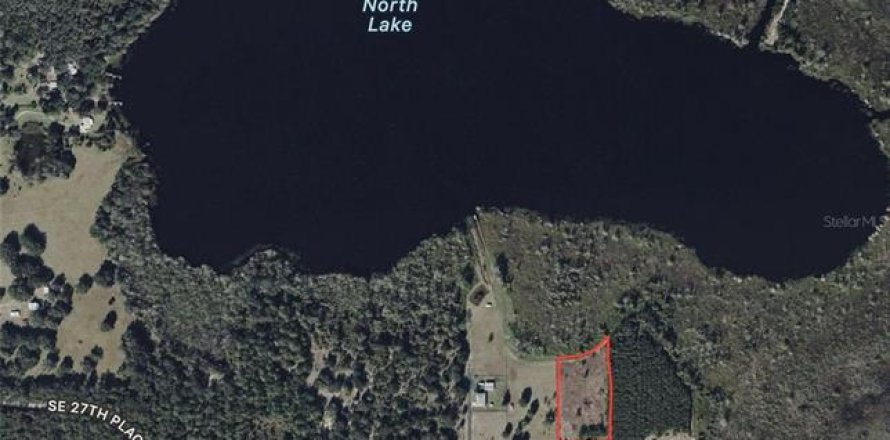 Terrain à Ocklawaha, Floride № 2206567