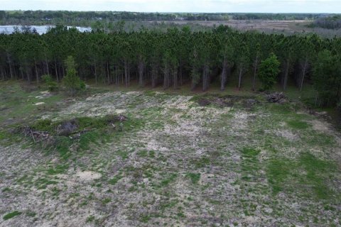 Terrain à vendre à Ocklawaha, Floride № 2206567 - photo 5