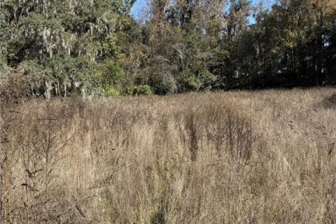 Terrain à vendre à Reddick, Floride № 2104039 - photo 6