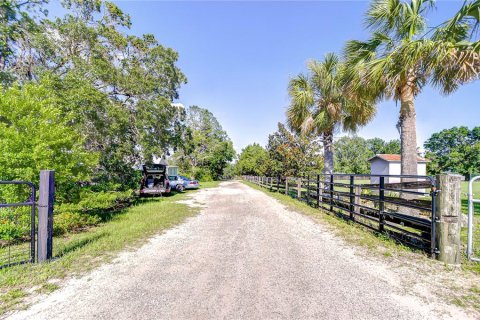 House in Dade City, Florida 3 bedrooms, 219.62 sq.m. № 1742854 - photo 11
