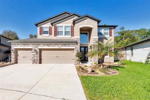 House in Wesley Chapel, Florida 5 bedrooms, 328.04 sq.m. № 2201939