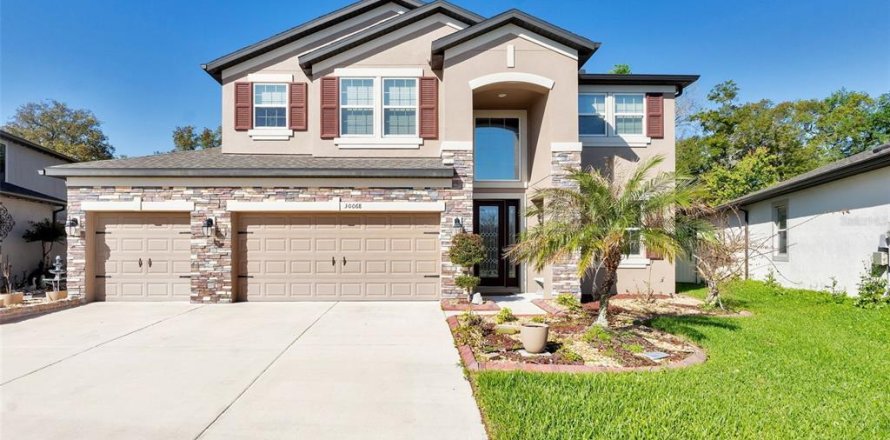 House in Wesley Chapel, Florida 5 bedrooms, 328.04 sq.m. № 2201939
