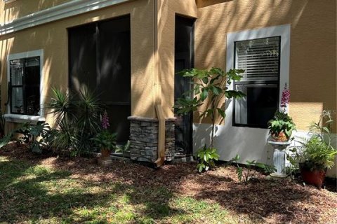 Condo in Palm Harbor, Florida, 1 bedroom  № 1608302 - photo 21
