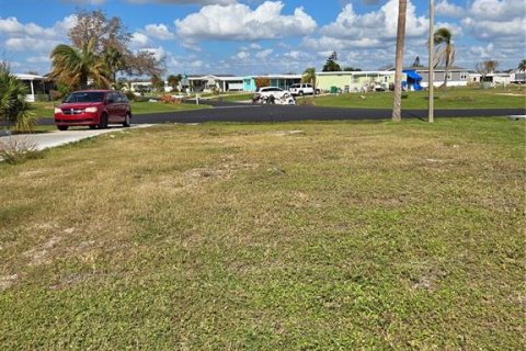 Land in Englewood, Florida № 1420585 - photo 3