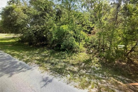 Land in Ocala, Florida № 2212122