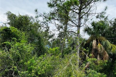 Terreno en venta en Punta Gorda, Florida № 2163121 - foto 6