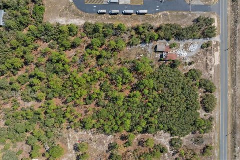 Terreno en venta en Homosassa, Florida № 1915242 - foto 10