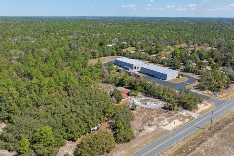 Terreno en venta en Homosassa, Florida № 1915242 - foto 8