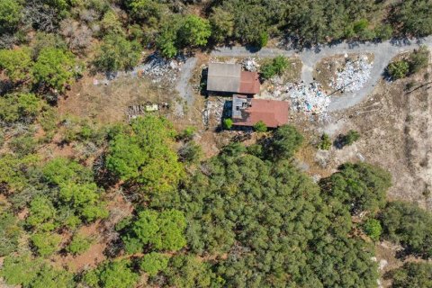 Terreno en venta en Homosassa, Florida № 1915242 - foto 11