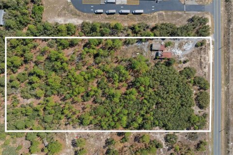 Terreno en venta en Homosassa, Florida № 1915242 - foto 1