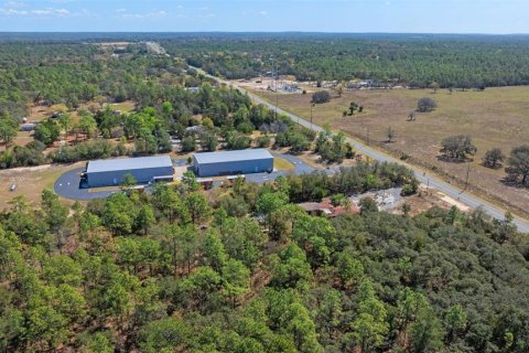 Terreno en venta en Homosassa, Florida № 1915242 - foto 6