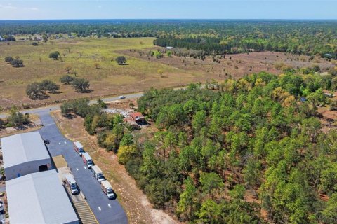 Terreno en venta en Homosassa, Florida № 1915242 - foto 4