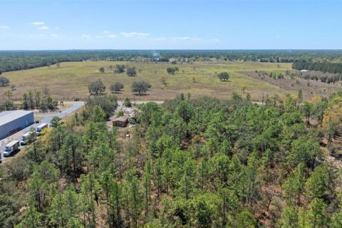 Terreno en venta en Homosassa, Florida № 1915242 - foto 5