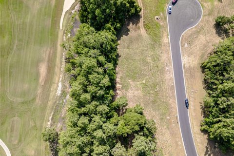 Land in Brooksville, Florida № 1719232 - photo 7