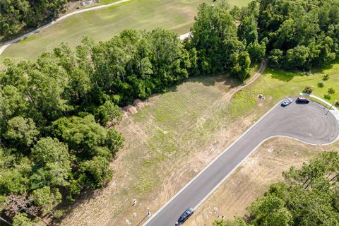 Land in Brooksville, Florida № 1719232 - photo 3