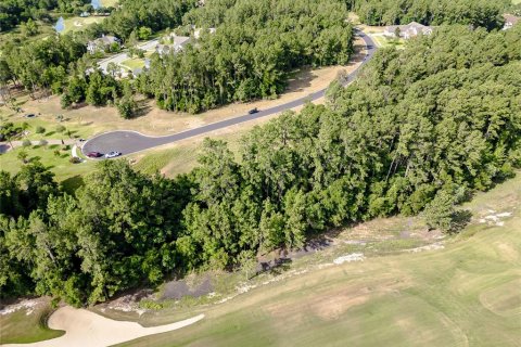 Land in Brooksville, Florida № 1719232 - photo 5