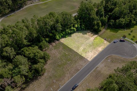 Land in Brooksville, Florida № 1719232 - photo 2