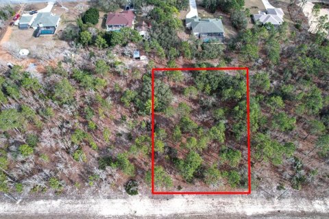 Land in Beverly Hills, Florida № 1647939 - photo 1