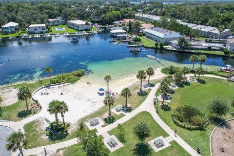 Land in Beverly Hills, Florida № 1647939 - photo 15