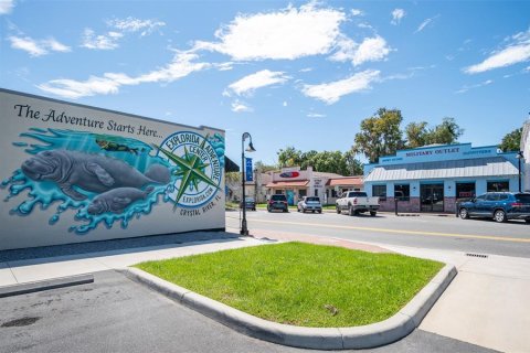 Land in Beverly Hills, Florida № 1647939 - photo 13