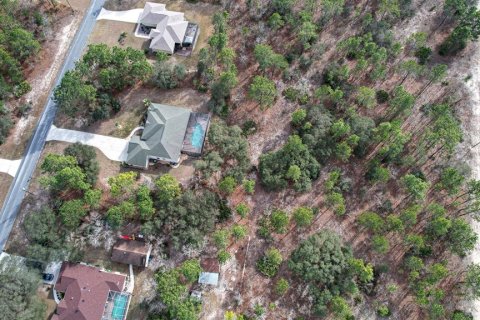 Land in Beverly Hills, Florida № 1647939 - photo 23