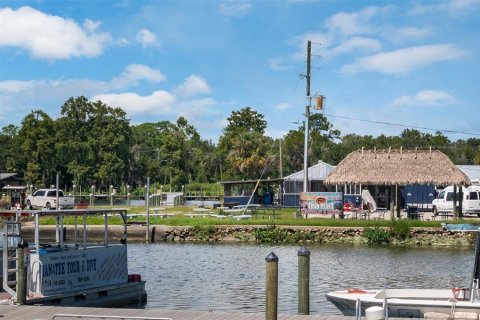 Land in Beverly Hills, Florida № 1647939 - photo 9