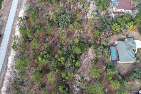 Land in Beverly Hills, Florida № 1647939 - photo 3