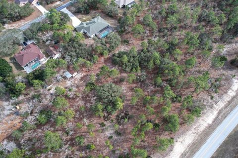 Land in Beverly Hills, Florida № 1647939 - photo 2