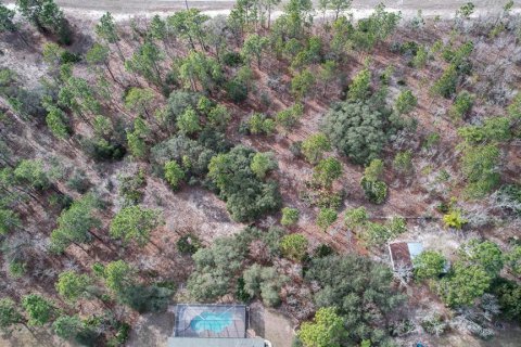 Land in Beverly Hills, Florida № 1647939 - photo 6