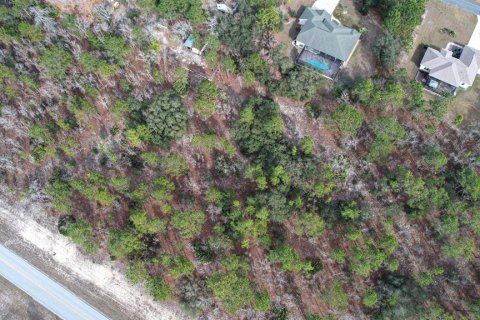 Land in Beverly Hills, Florida № 1647939 - photo 4