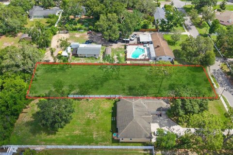 Terrain à vendre à Temple Terrace, Floride № 1802324 - photo 1