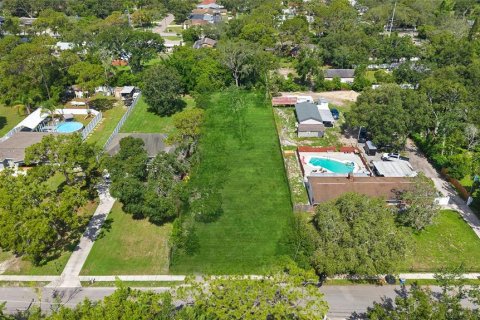 Terrain à vendre à Temple Terrace, Floride № 1802324 - photo 4