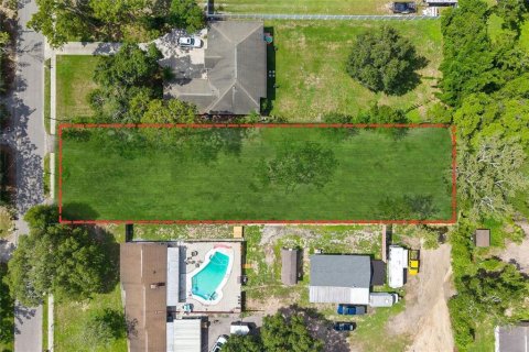 Terrain à vendre à Temple Terrace, Floride № 1802324 - photo 2