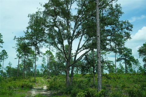 Terreno en venta en Morriston, Florida № 1521261 - foto 11