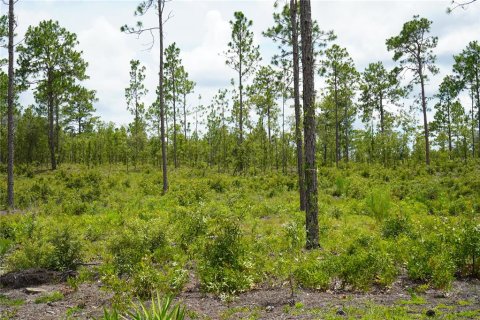 Terreno en venta en Morriston, Florida № 1521261 - foto 22
