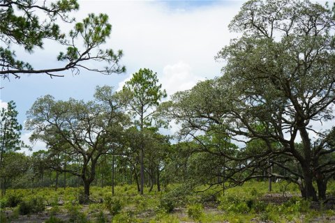 Terreno en venta en Morriston, Florida № 1521261 - foto 19