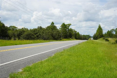 Terreno en venta en Morriston, Florida № 1521261 - foto 25
