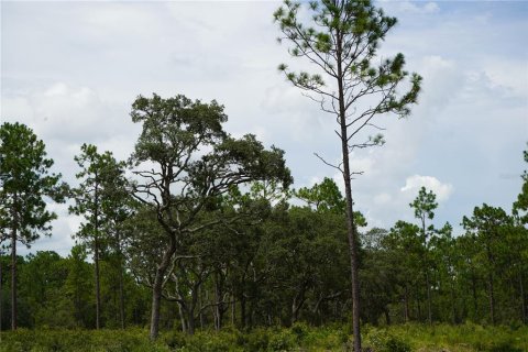 Terreno en venta en Morriston, Florida № 1521261 - foto 13