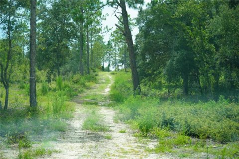 Terreno en venta en Morriston, Florida № 1521261 - foto 24