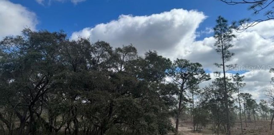 Land in Morriston, Florida № 1521261