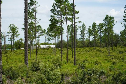 Terreno en venta en Morriston, Florida № 1521261 - foto 17