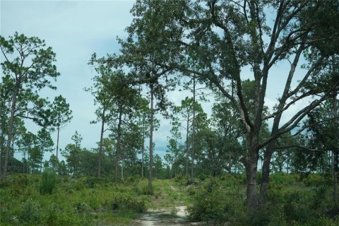 Terreno en venta en Morriston, Florida № 1521261 - foto 12