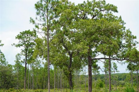 Terreno en venta en Morriston, Florida № 1521261 - foto 14